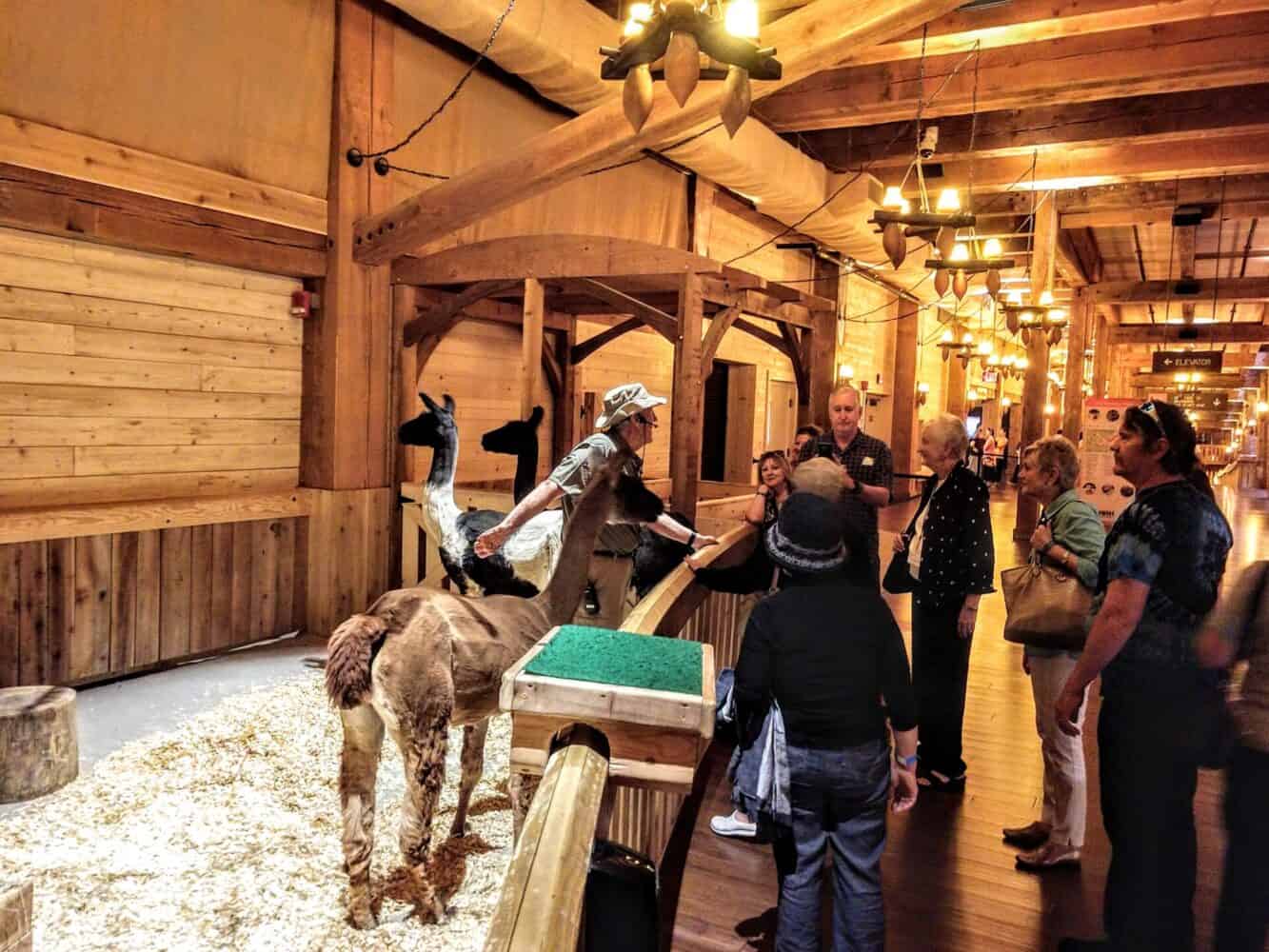 Ark Encounter,Creation Museum,biblical attractions,Noah's Ark,family travel,Kentucky tourism,Ark Encounter tickets,Creation Museum tickets,Ark Encounter exhibits,Creation Museum exhibits,Williamstown attractions,Kentucky travel guide,faith-based attractions,visit Ark Encounter Williamstown,plan a trip to the Creation Museum,,Ark Encounter and Creation Museum combo pass,things to do in Williamstown KY,family-friendly attractions in Kentucky,detailed guide to the Ark Encounter,what to see at the Creation Museum,Ark Encounter visitor tips,budget-friendly hotels near Ark Encounter,luxury accommodations in Williamstown KY,Ark Encounter and Creation Museum itinerary,educational exhibits at the Creation Museum,animal encounters at the Ark Encounter,where to stay in Williamstown KY,best restaurants near Ark Encounter,Kentucky faith-based tourism,must-see attractions in Williamstown,planning a family trip to Kentucky,exploring biblical history in Kentucky